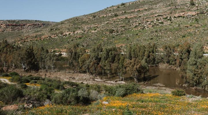 Ashanté Boutique Retreat