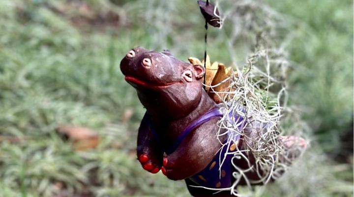 Kilmorna Manor Guest House & Private Nature Reserve