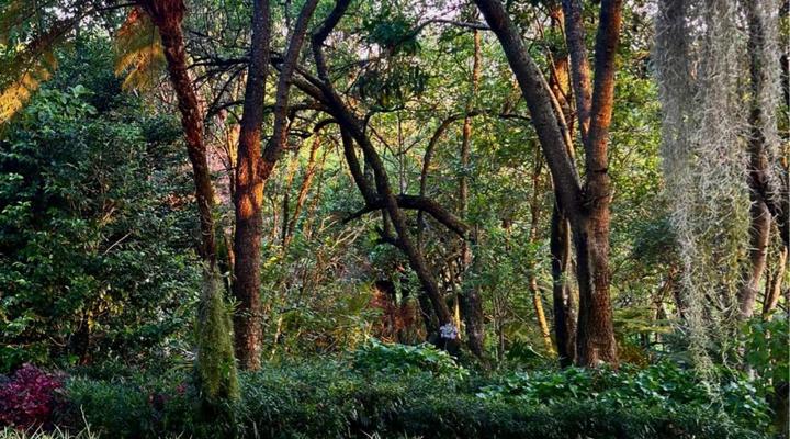 Kilmorna Manor Guest House & Private Nature Reserve