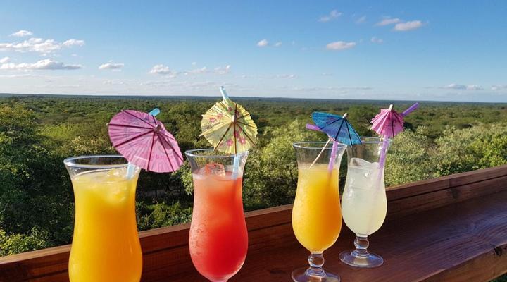 Thornhill Safari Lodge