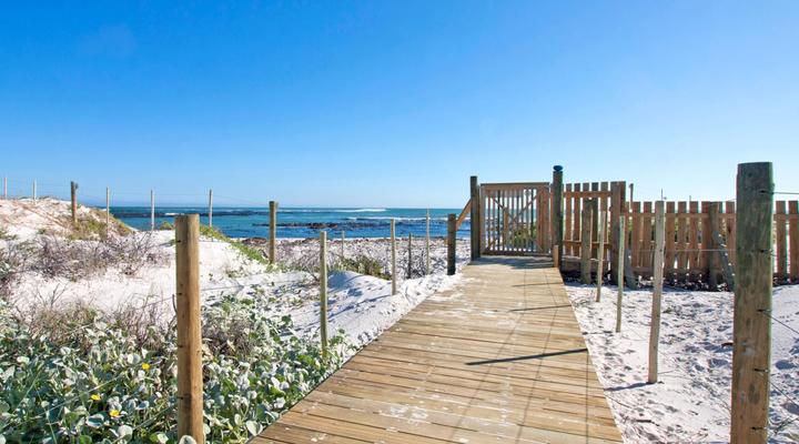 Fin Whale Beach House