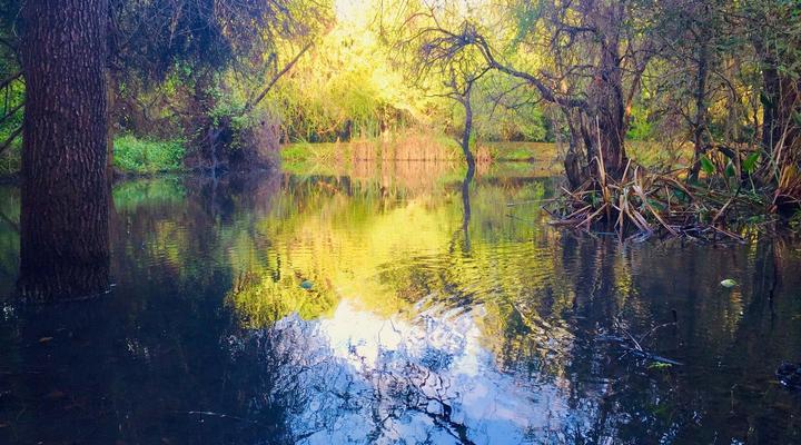 Dream of Africa Bush Lodge