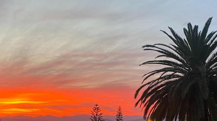 Four Palms Accommodation