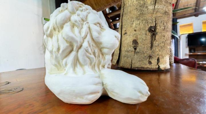 Comfort Zone Guesthouse