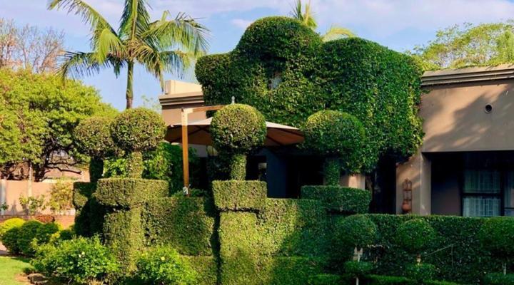 Forty 4 on Hoog Luxury Accommodation