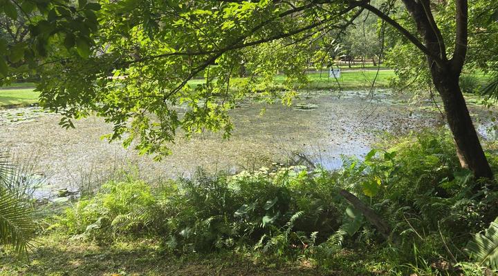 Kruger Park Lodge Unit 243