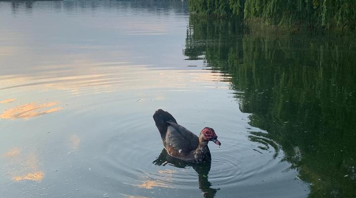 Cloudrift Getaways Vaal River