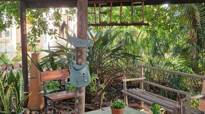 The Big Tree Cottage