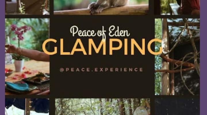 Peace of Eden ~ Vegan Forest Escape