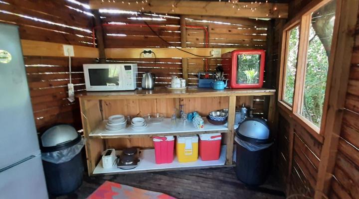 Peace of Eden ~ Vegan Forest Escape