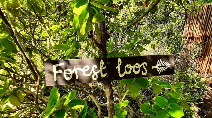 Peace of Eden ~ Vegan Forest Escape