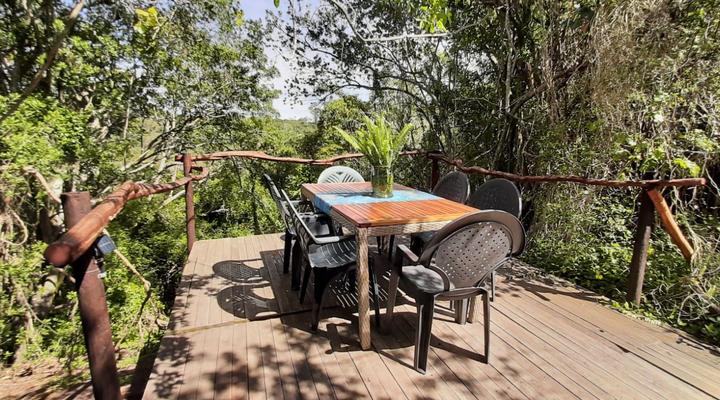 Peace of Eden ~ Vegan Forest Escape