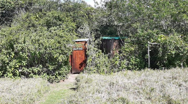 Peace of Eden ~ Vegan Forest Escape