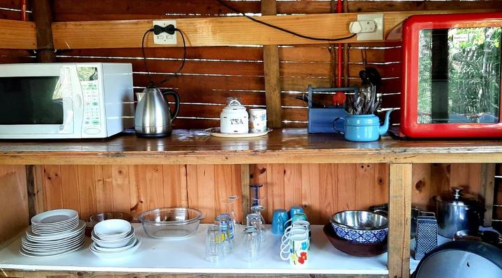 Peace of Eden ~ Vegan Forest Escape