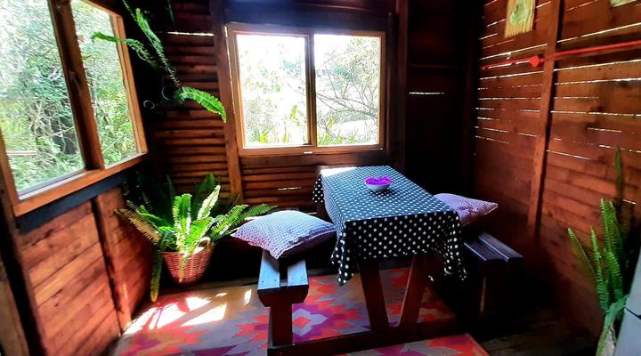 Peace of Eden ~ Vegan Forest Escape