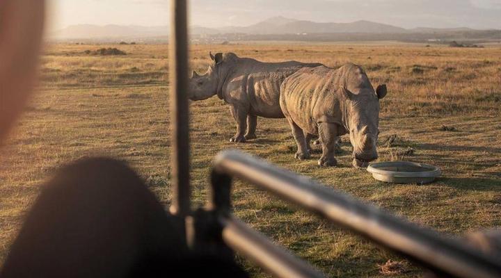 Lombardini Game Farm and Events Venue