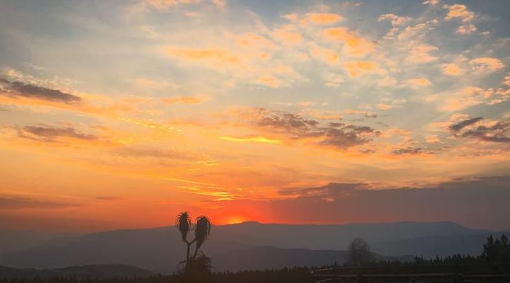 Kaapsehoop Horse Trails