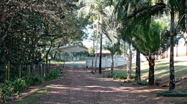 Eagles Nest Bed & Breakfast