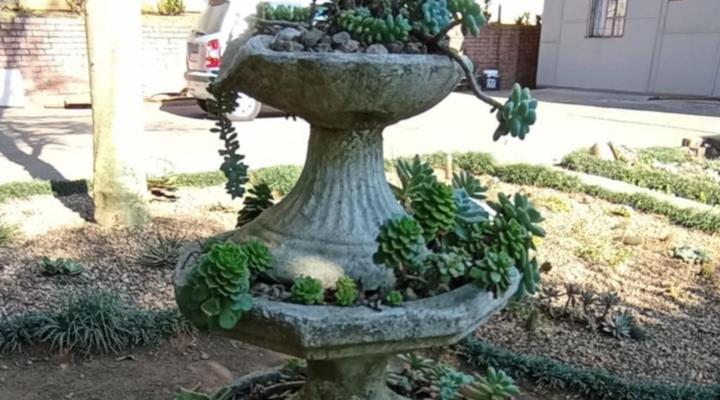 Eagles Nest Bed & Breakfast