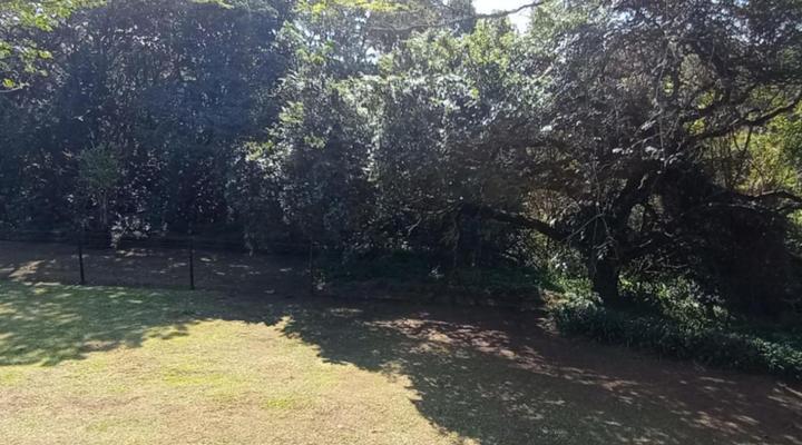 Eagles Nest Bed & Breakfast