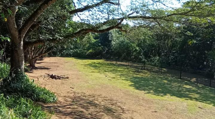 Eagles Nest Bed & Breakfast