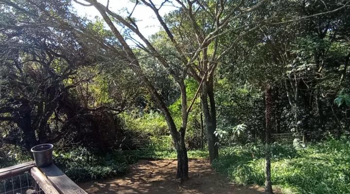 Eagles Nest Bed & Breakfast