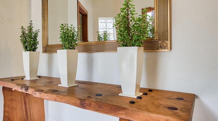 Seringa Lodge & Safaris