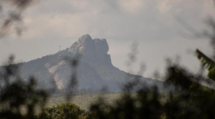 Seringa Lodge & Safaris