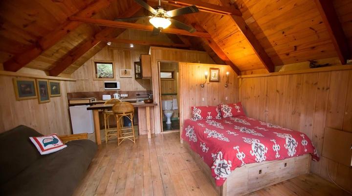 Fern Gully Forest Cabins