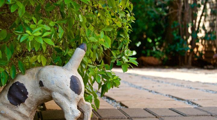 Khayamanzi Guesthouse