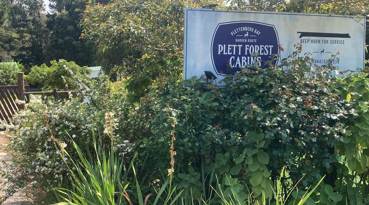 Plett Forest Cabins