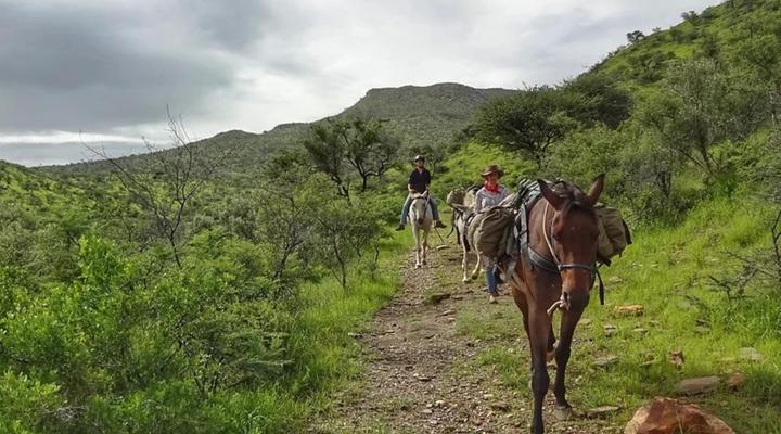 Moonraker Outdoor Adventure Rest Camp