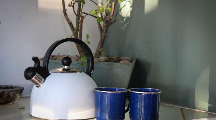 The Big Tree Cottage