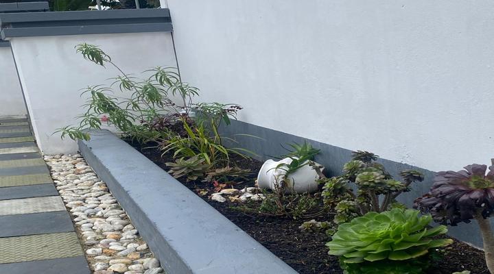 Forchutec Guest House Sunset Beach