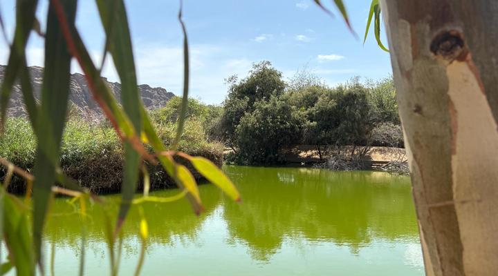 Goanikontes Oasis Rest Camp