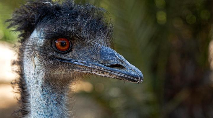Goanikontes Oasis Rest Camp