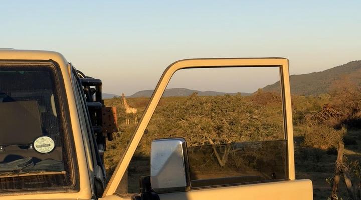 Wildemans Addo Bushveld Lodge