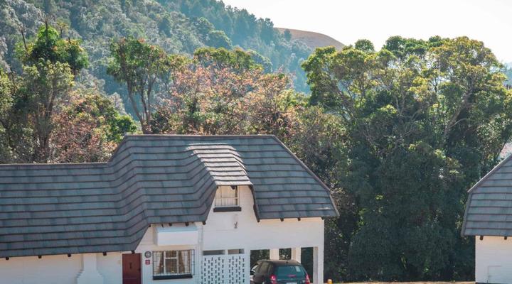 Mount Sheba Cottages