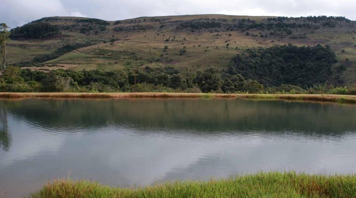 Mount Sheba Cottages