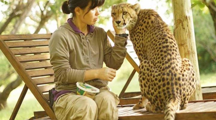 Lion and Cheetah Sanctuary