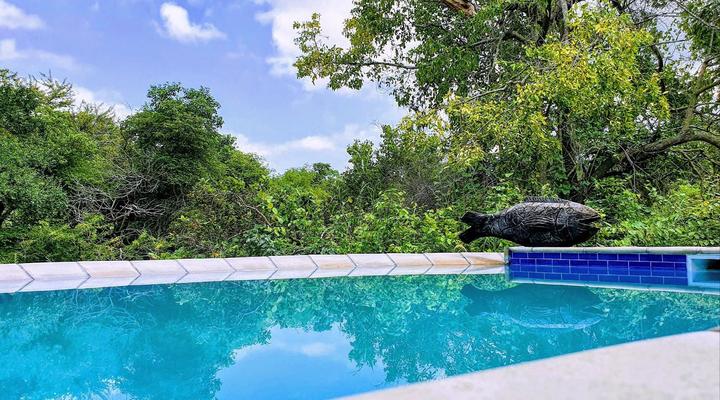 Kingfisher Creek Lodge