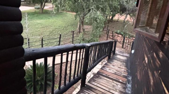 Zebras Drift by Heybert