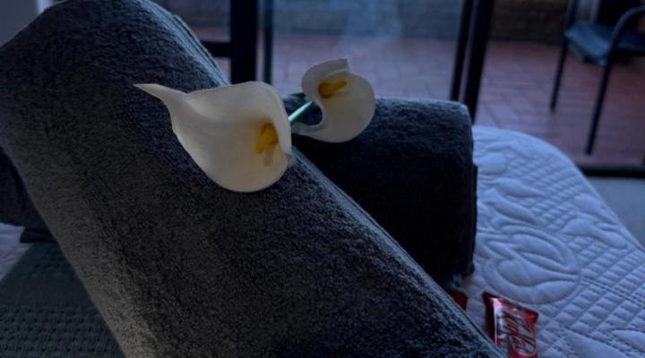 Lillies and Leopards Guesthouse