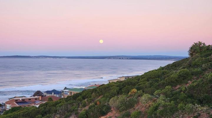 Lillies and Leopards Guesthouse