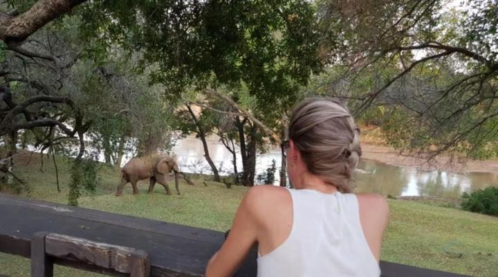 Rio Dos Elefantes River Lodge