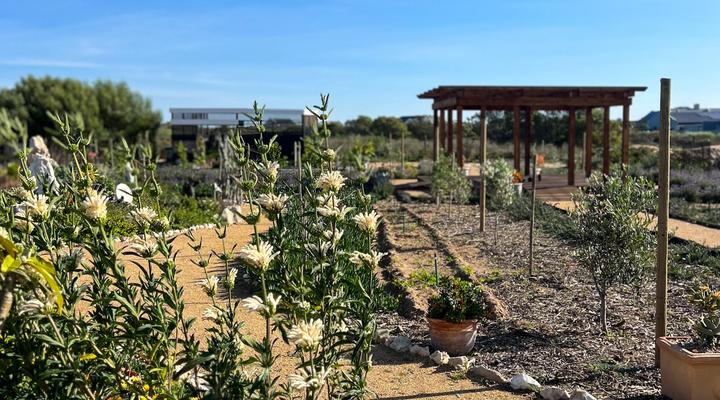 Elixir Guest House & Spa