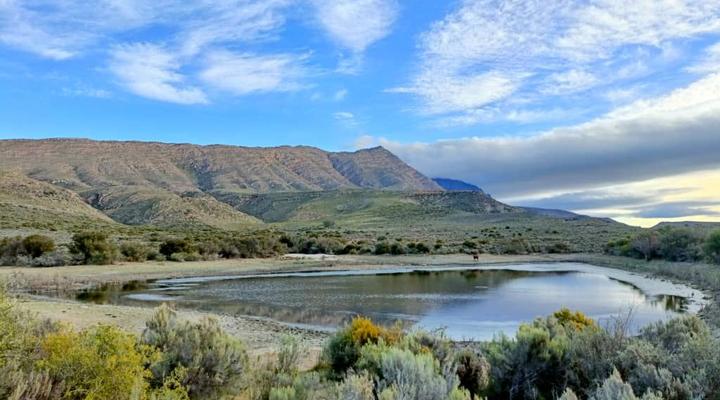 Kleindoorn Guest House