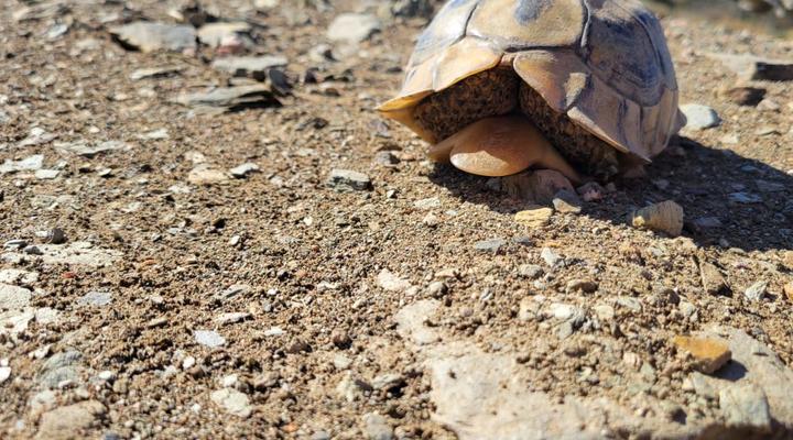 Kleindoorn Guest House