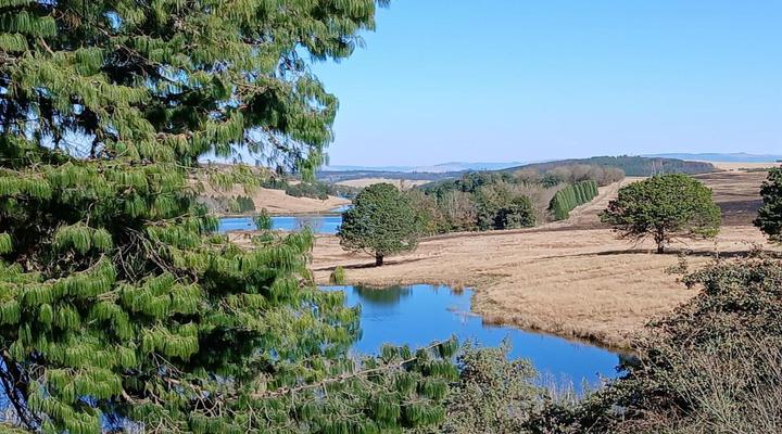 Thatchings Guest House and Conference Venue