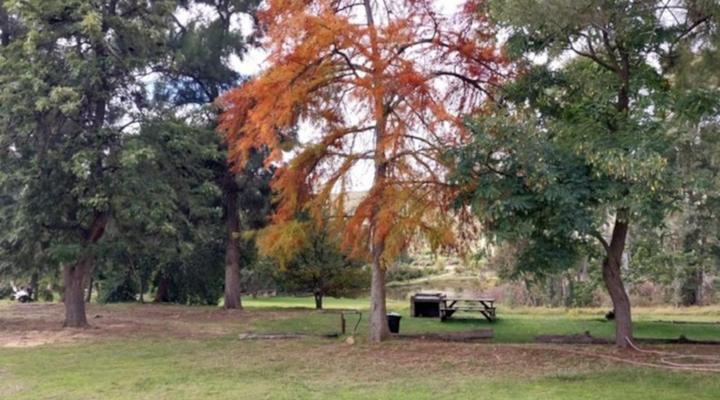 Biedouw Valley Wegbreek